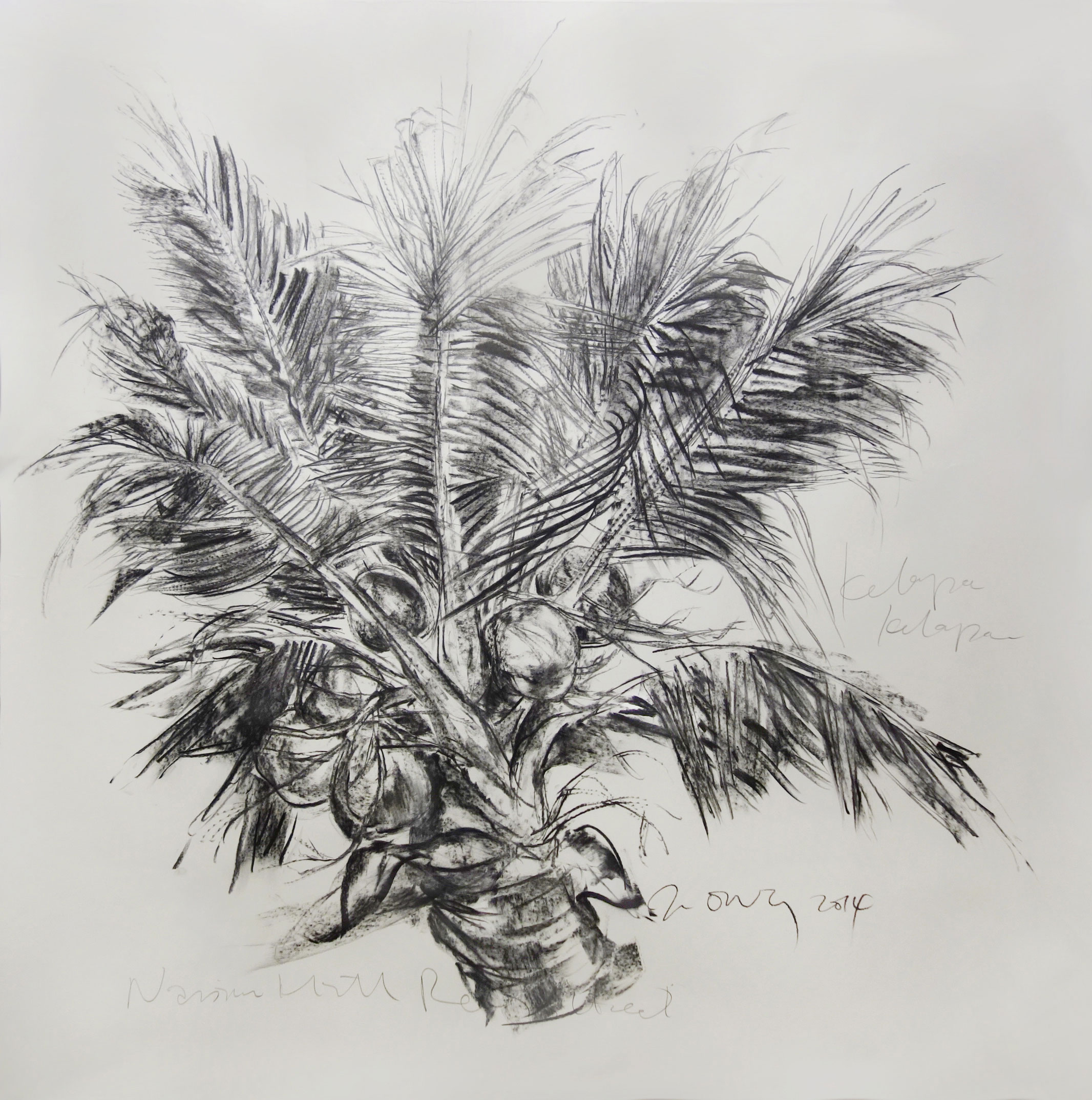  Jimmy ONG  Kelapa Kelapan  2014 Charcoal on paper 152 x 153 cm 