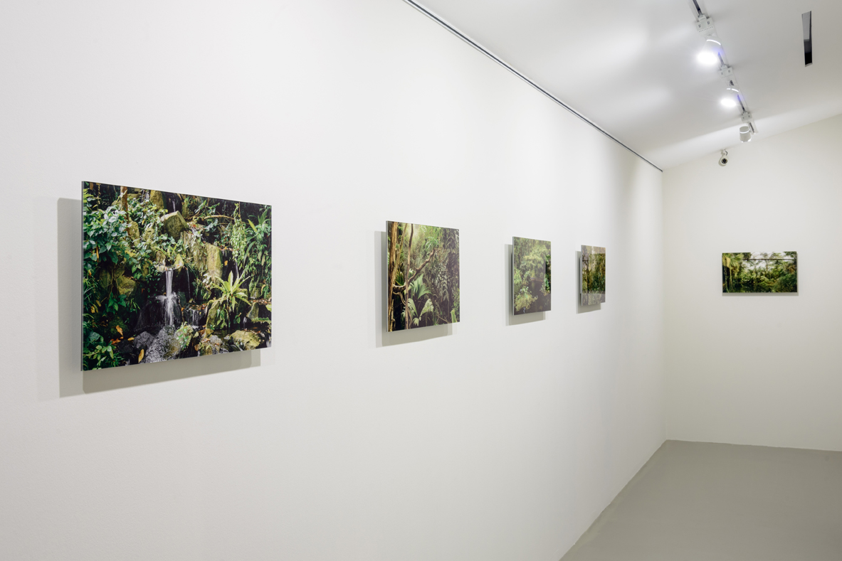  Installation View of  My Forest Has No Name , 2014-Ongoing Credit: Eric Tschernow, Jason Lau and John Yuen (Fotograffiti) Photo Credit: Fotograffiti (John Yuen) 