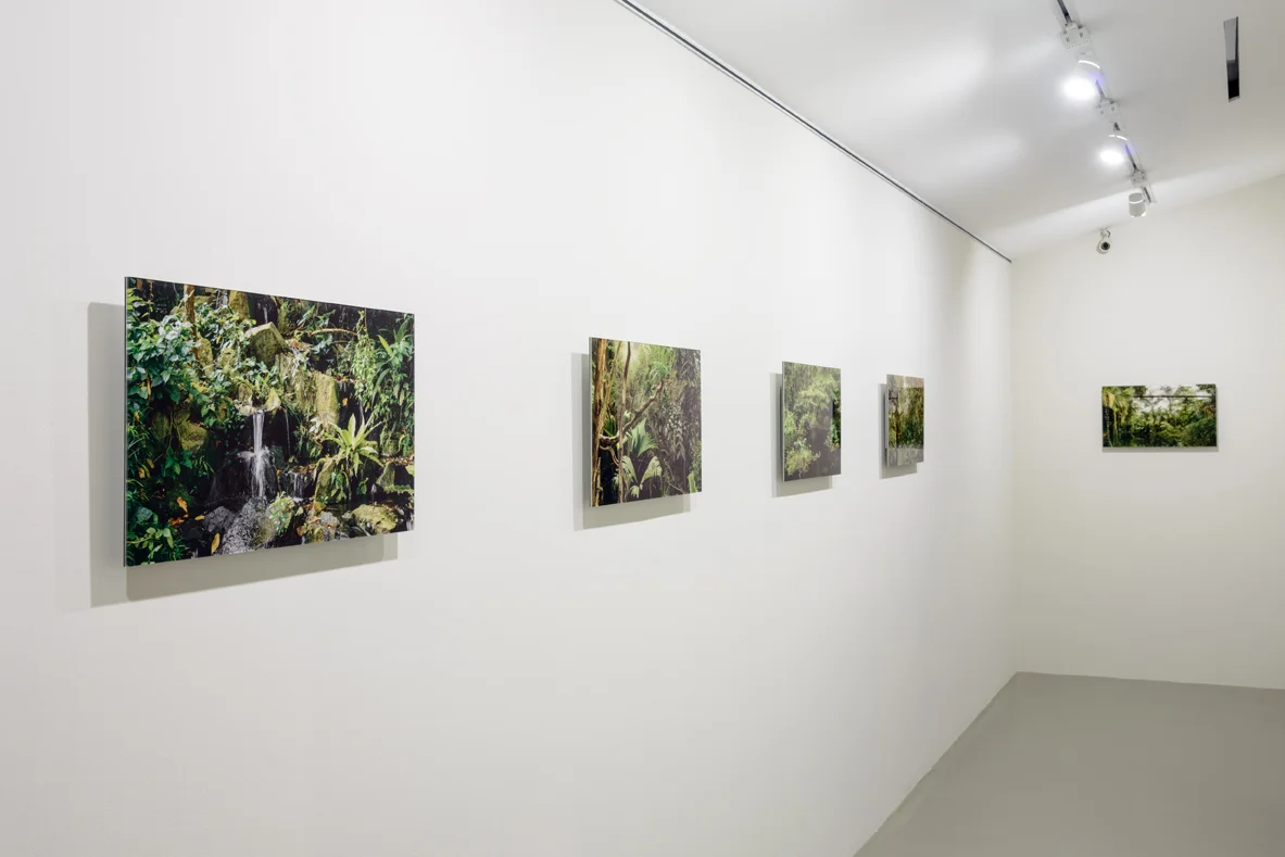 Installation View of My Forest Has No Name , 2014-Ongoing Credit: Eric Tschernow, Jason Lau and John Yuen (Fotograffiti) Photo Credit: Fotograffiti (John Yuen)