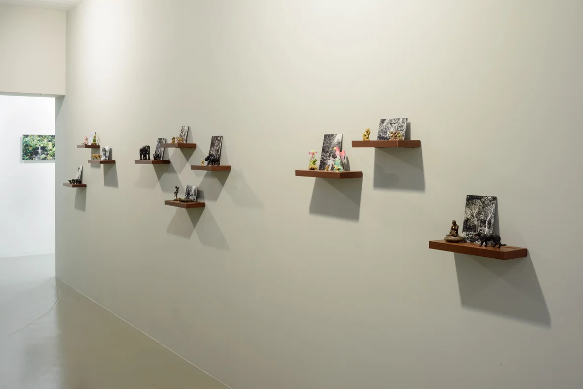 Installation View of Postcards from the Tropics (ii-xi) , 2016. Photo Credit: Fotograffiti (John Yuen)