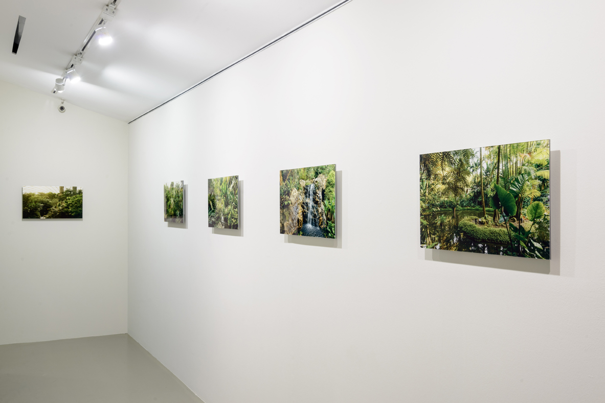  Installation View of  My Forest Has No Name , 2014-Ongoing Credit: Eric Tschernow, Jason Lau and John Yuen (Fotograffiti) Photo Credit:&nbsp;Fotograffiti (John Yuen) 