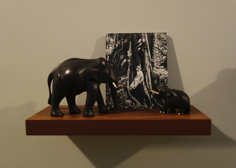  Donna ONG  Postcards from the Tropics (xi)  2016 Diasec print, wooden shelf, and tropical souvenirs (wooden elephants) Dimensions variable 