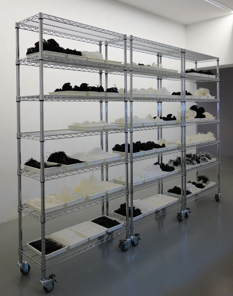 A Common Thread: Archiving a Practice — FOST Gallery