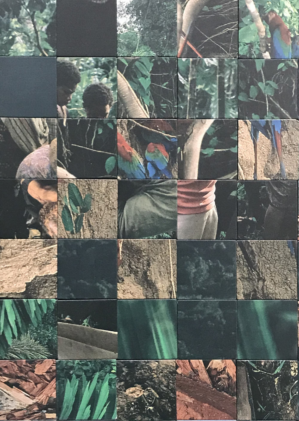  Donna ONG  Tropical Shades (I): Rainforest Narratives from the National Geographic (2010-2018) , detail 2018 UV print on rubber magnets H480 x W249 x D0.3 cm  