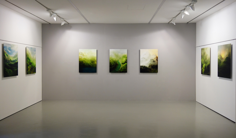  Installation view 