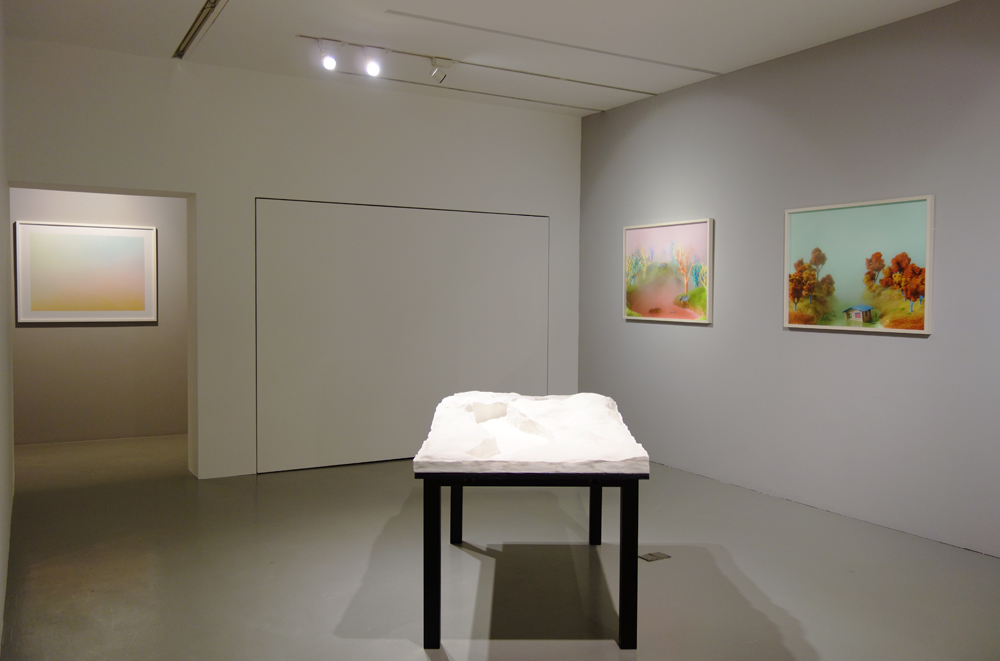  Installation view 