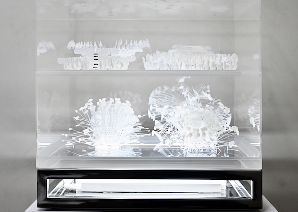 Screen Shot 2020-01-11 at 12.34.11 PM.png