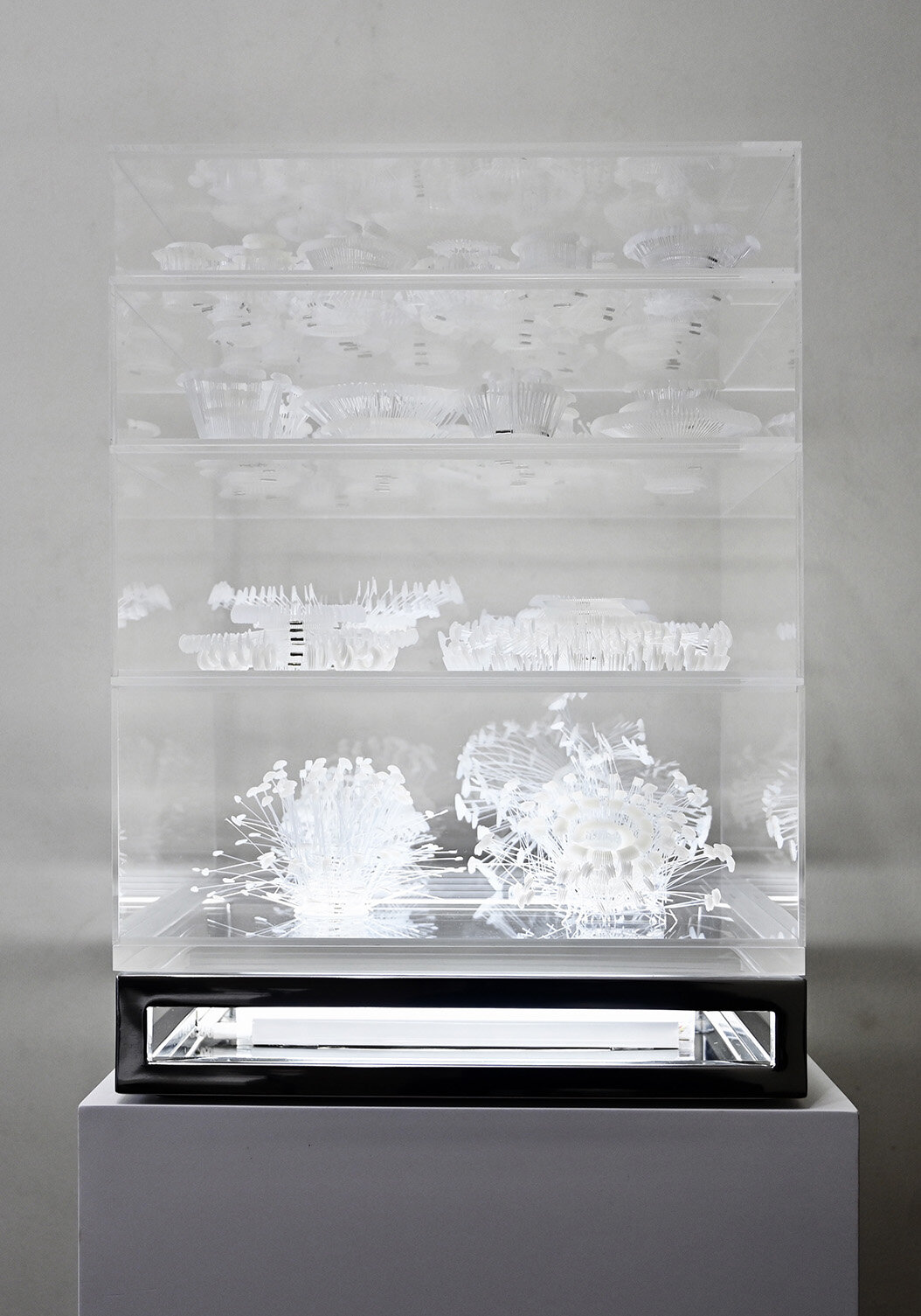  Grace TAN  Exotic Trophies  2020 Free-standing stainless steel and acrylic stacked structure with LED light and objects made from polyamide and polypropylene tag pins and nickel-plated brass tubes H54 x W40 x D40 cm Photography by Lim Weixiang  