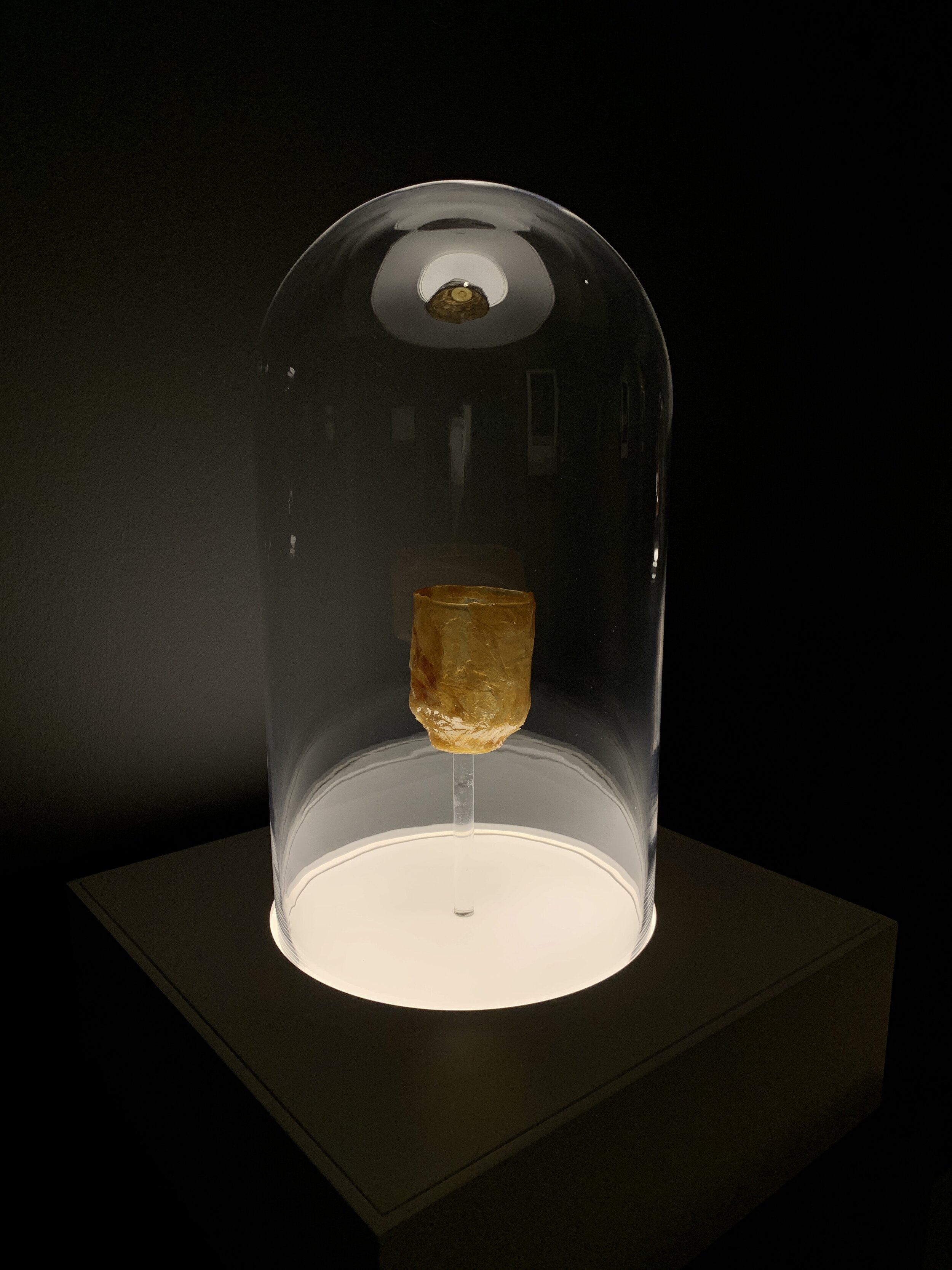  Ezzam Rahman  how can i give you all of me when i am only half a man 02  2019 Artist's skin, glass cloches, LED light box, adhesive, epoxy resin and inkjet print on semi matte warm tone paper H51 x W35 x D35 cm (LED light box and glass cloche) H55 x