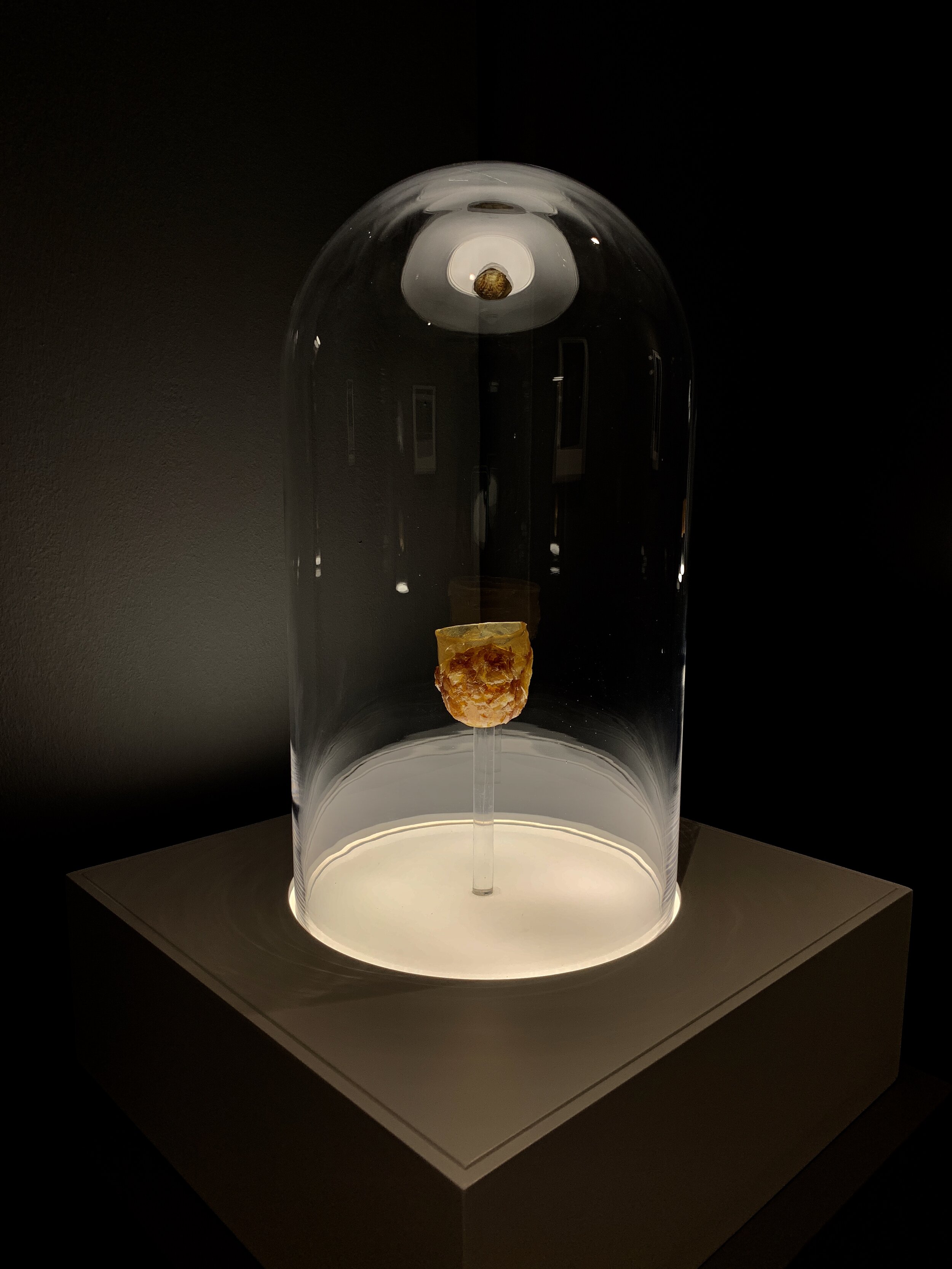  Ezzam Rahman  how can i give you all of me when i am only half a man 01  2019 Artist's skin, glass cloches, LED light box, adhesive, epoxy resin and inkjet print on semi matte warm tone paper H51 x W35 x D35 cm (LED light box and glass cloche) H55 x