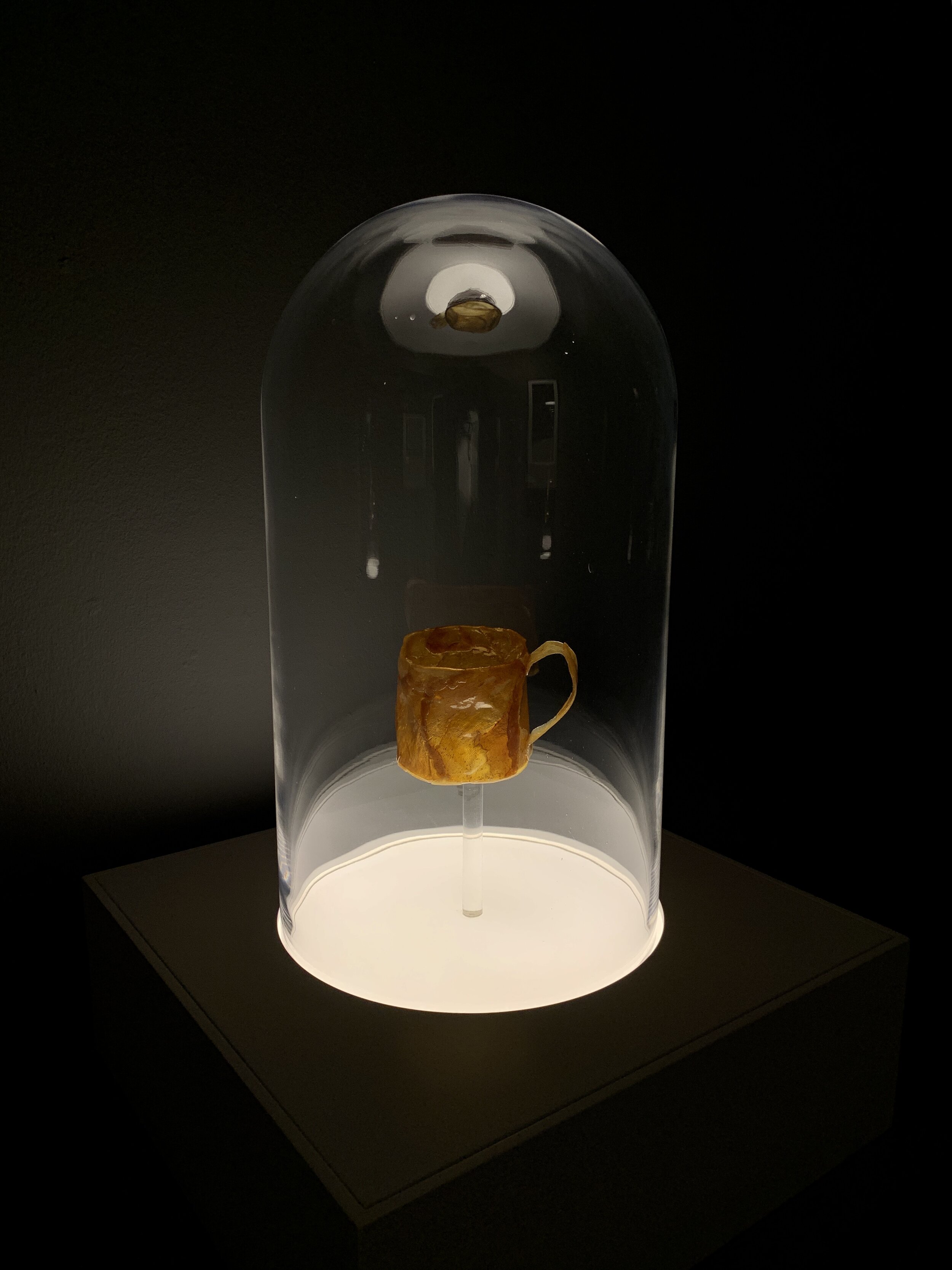 Ezzam Rahman  how can i give you all of me when i am only half a man 03  2019 Artist's skin, glass cloches, LED light box, adhesive, epoxy resin and inkjet print on semi matte warm tone paper H51 x W35 x D35 cm (LED light box and glass cloche) H55 x