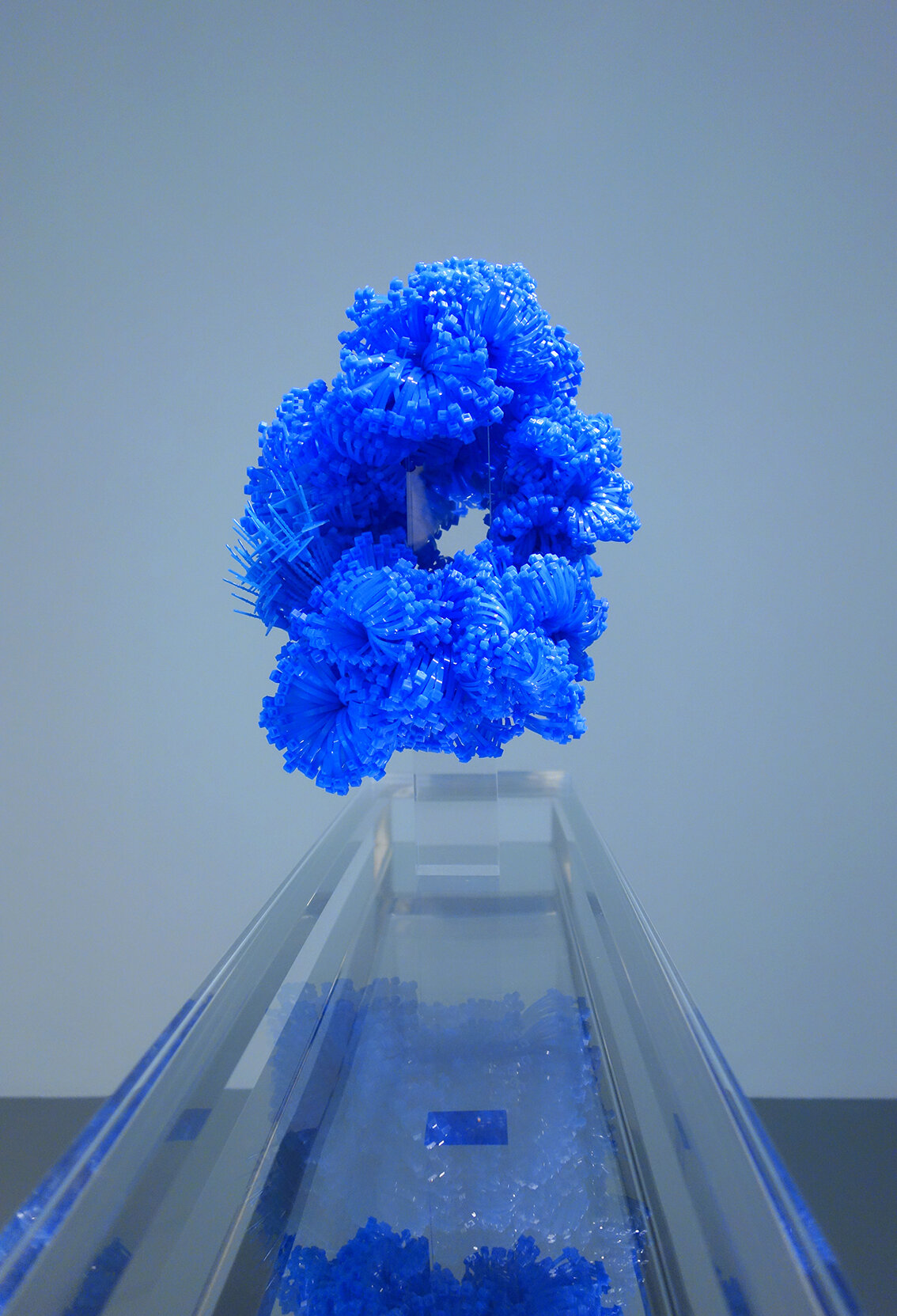  Grace TAN  Dreaming of the Azurite Grove  2021 Assorted blue polyamide cable fasteners and tags and clear acrylic rod H38 x W26 x D26 cm 