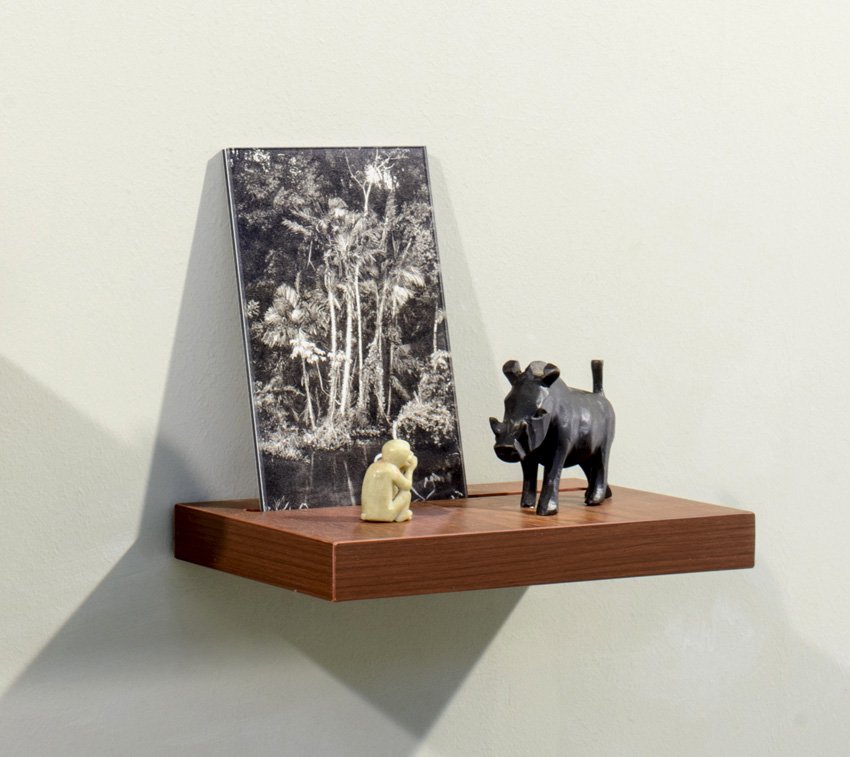 Donna ONG, Postcards from the Tropics (v), 2016, Diasec print, wooden shelf, and tropical souvenirs (wooden boar and stone monkey), H14.9 x W26 x D13.6 cm. Credit-Fotograffiti (John Yuen) LR.jpg