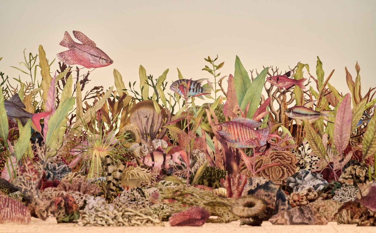  Donna Ong   Every World (Underwater)   2019  Paper (handcut), watercolour, wire, cork, glass and wood  H43.8 x W180.6 x D65.6 cm (detail) 