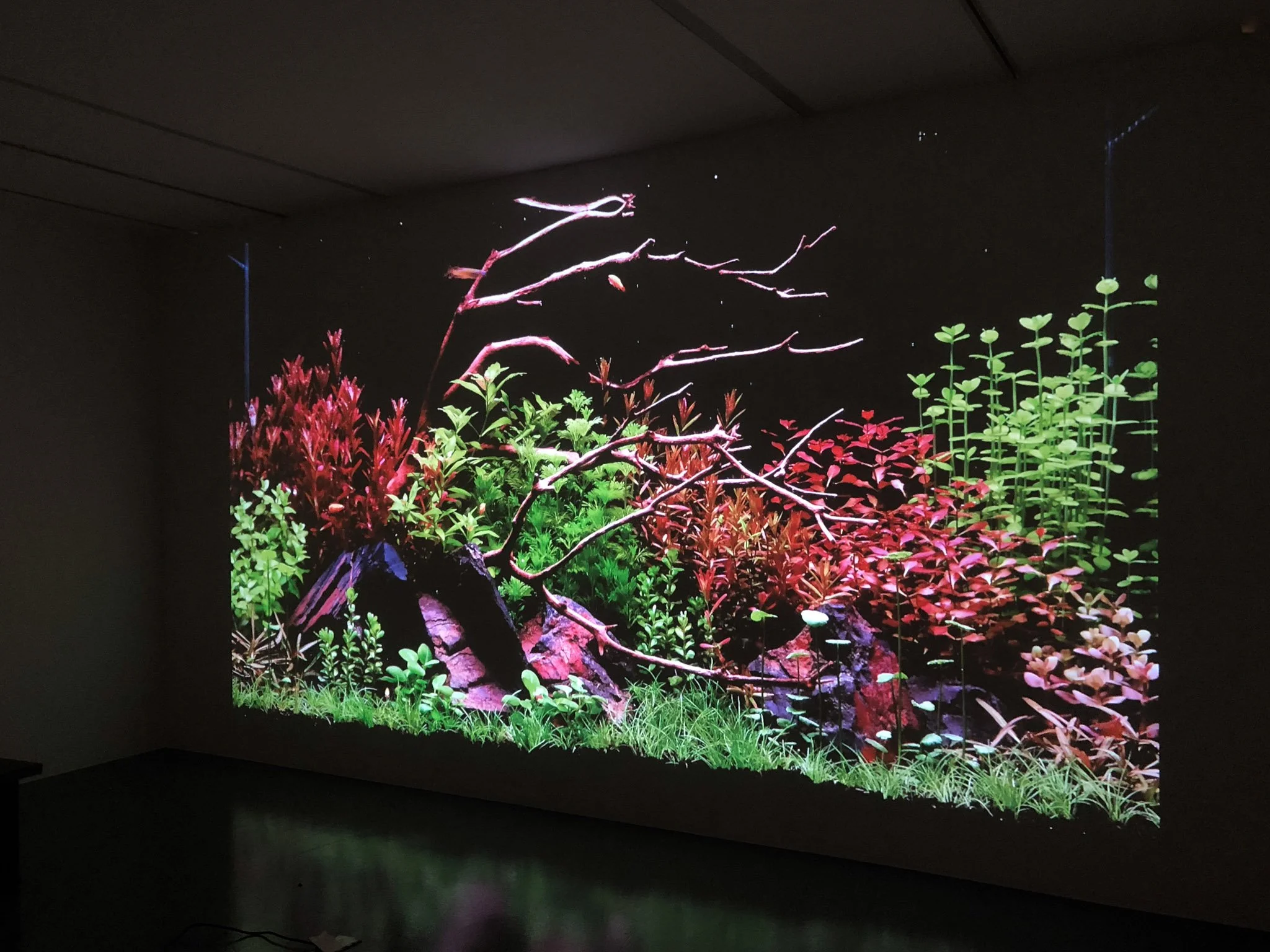White Clouds, FOST Gallery, Installation View, Image Courtesy of FOST Gallery LR 12.jpg