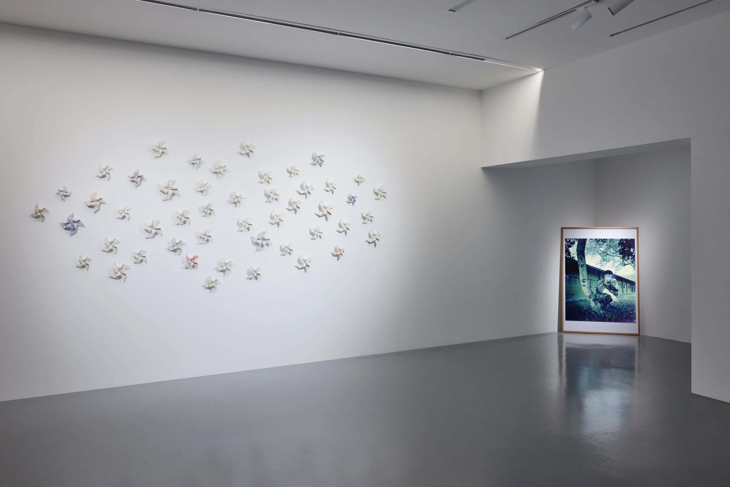 The Lie of the Land, FOST Gallery, Installation View, Image Courtesy of FOST Gallery LR 03.jpg