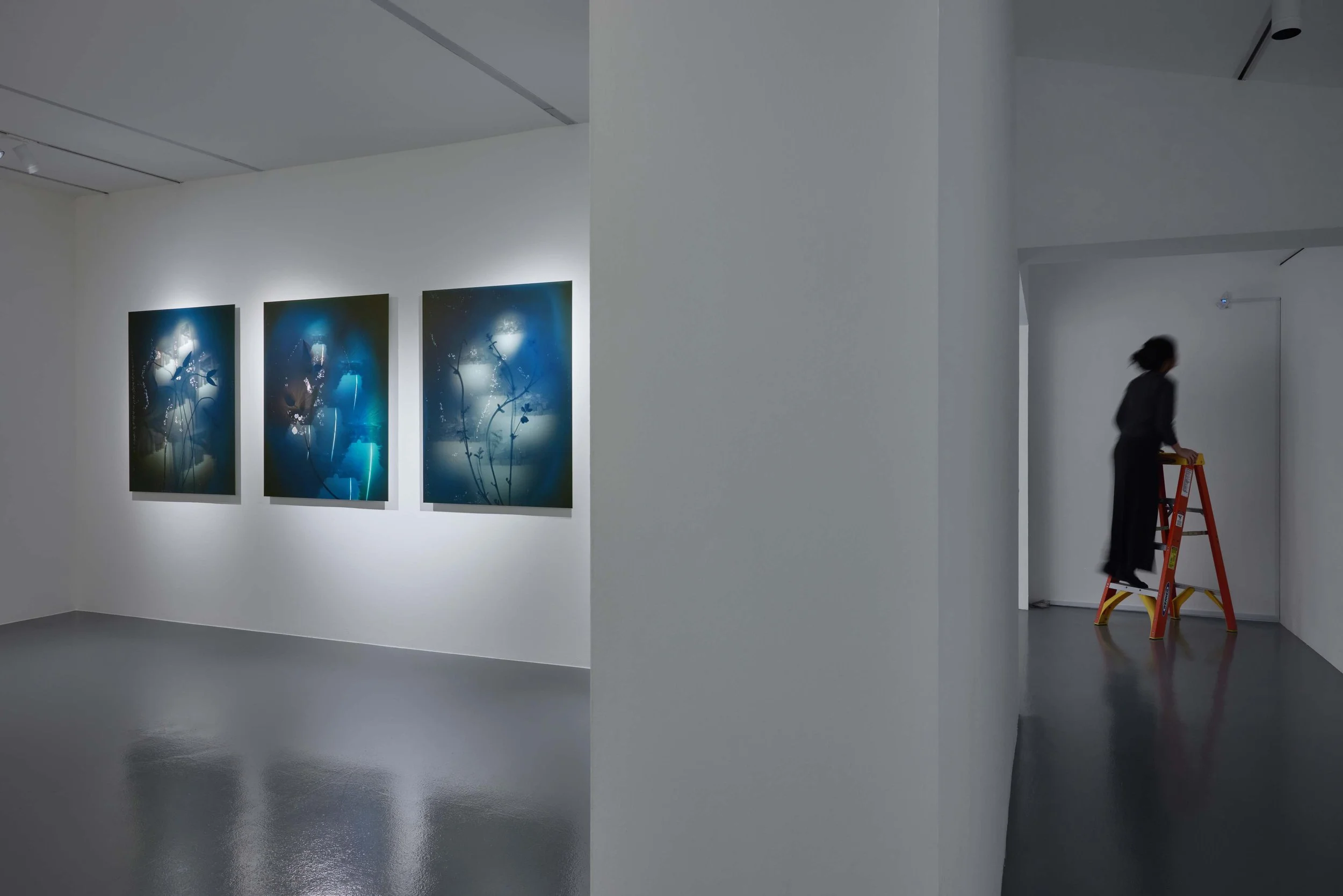 The Lie of the Land, FOST Gallery, Installation View, Image Courtesy of FOST Gallery LR 25.jpg