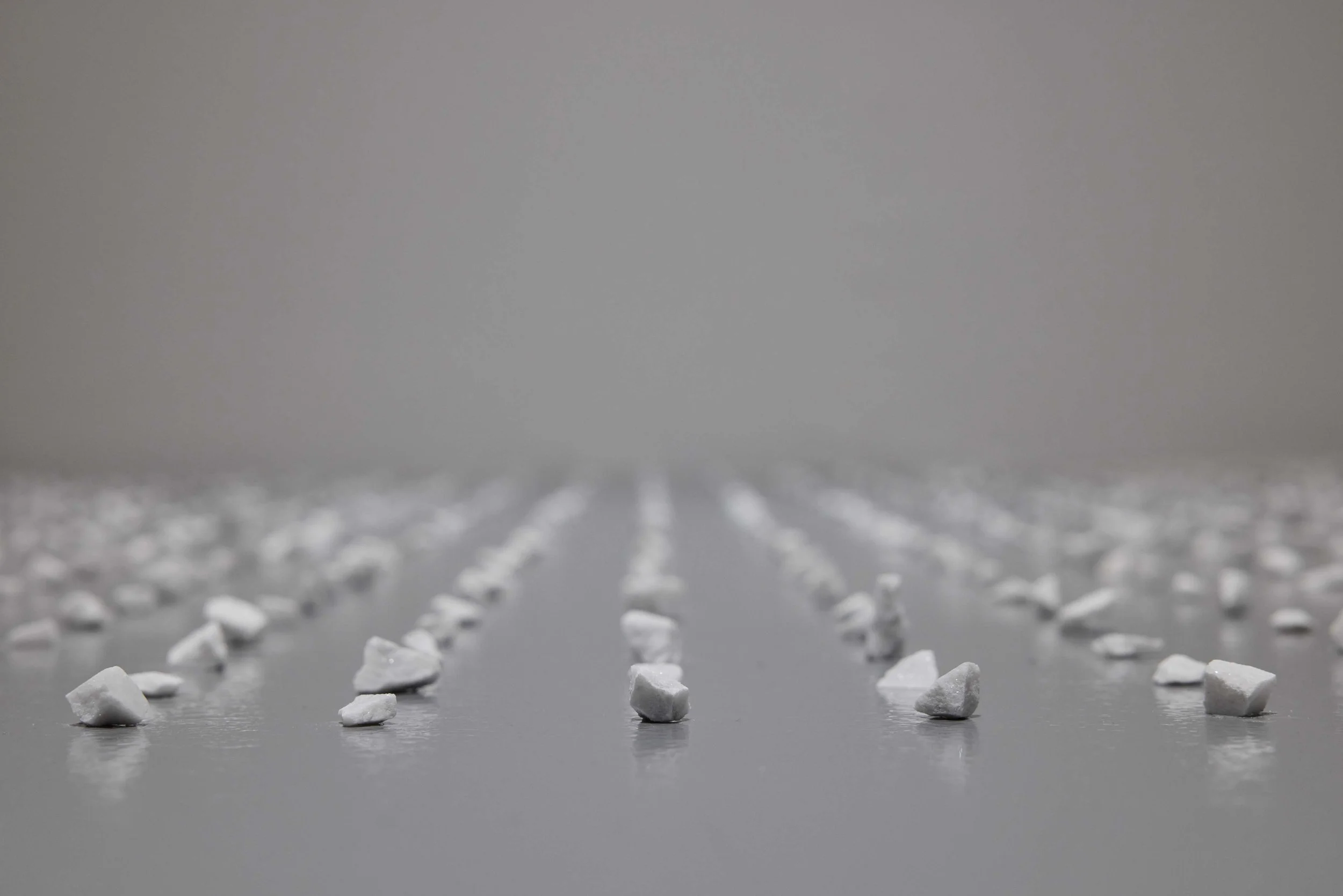 The Lie of the Land, FOST Gallery, Installation View, Image Courtesy of FOST Gallery LR 33.jpg