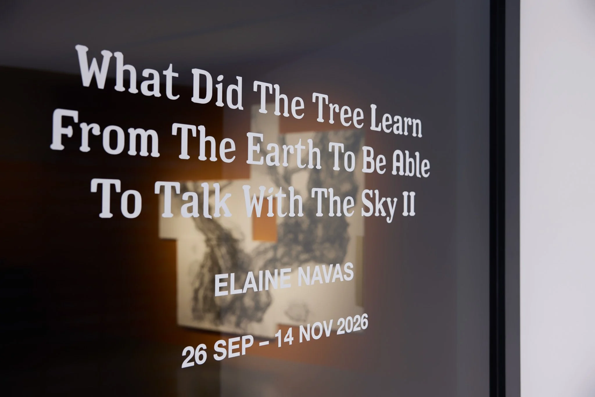 What Did The Tree Learn From The Earth To Be Able To Talk With The Sky II, Installation View, Image Courtesy of FOST Gallery LR 19.jpg