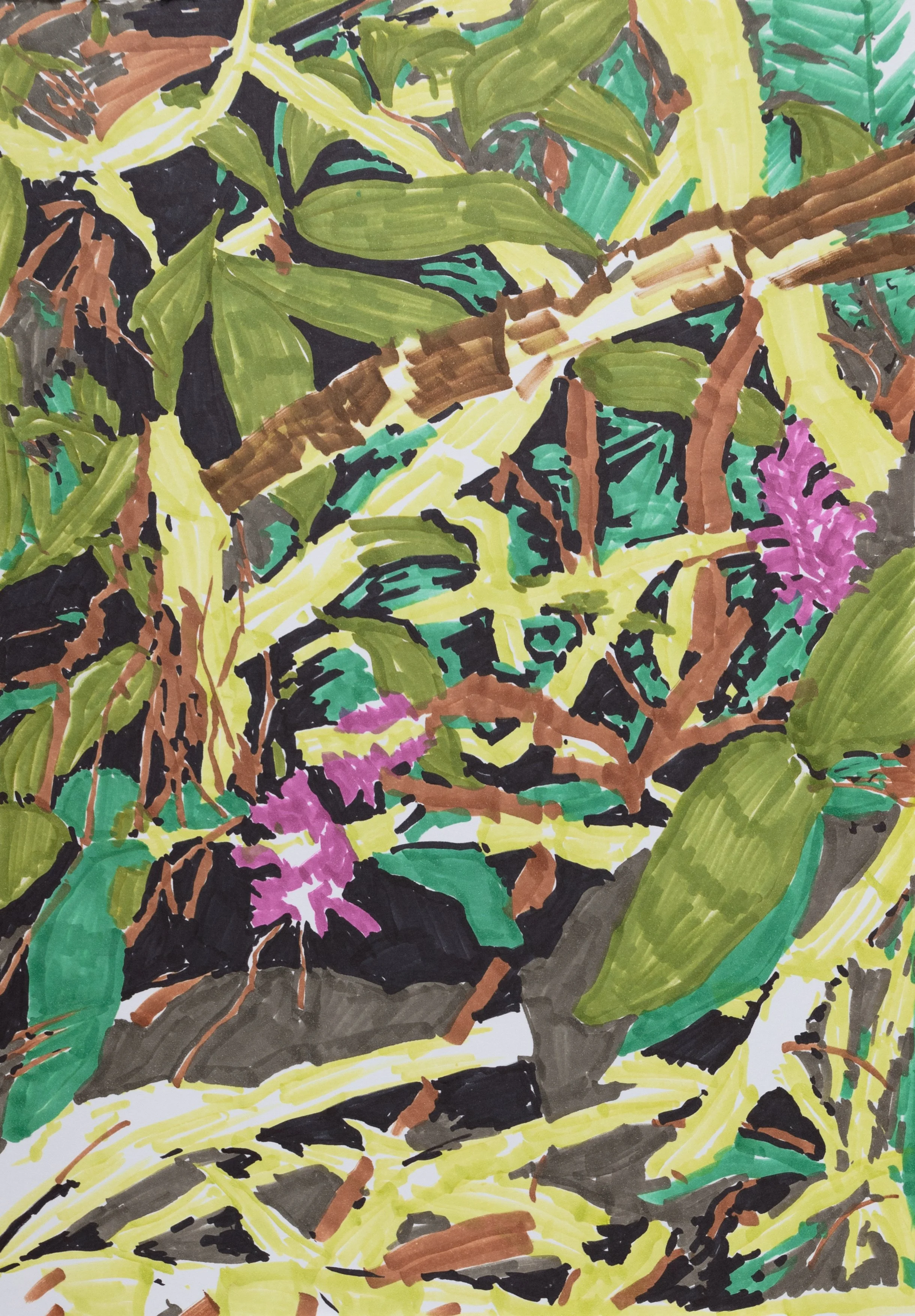  Jodi Tan  Still Life #225  2026 Marker on paper H29.7 x W21 cm 
