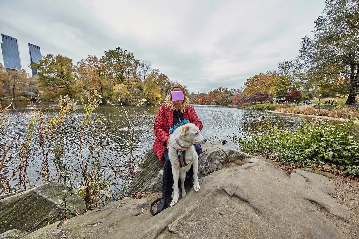 Sans the Face_162_2019x.jpeg