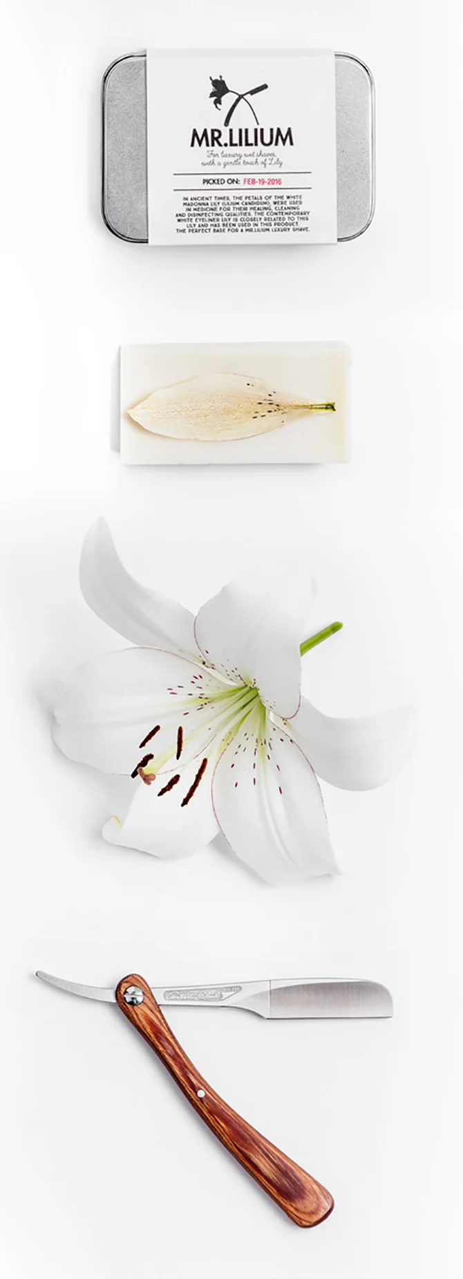 mr_lilium_p002_0907_org_670_670-1.jpg