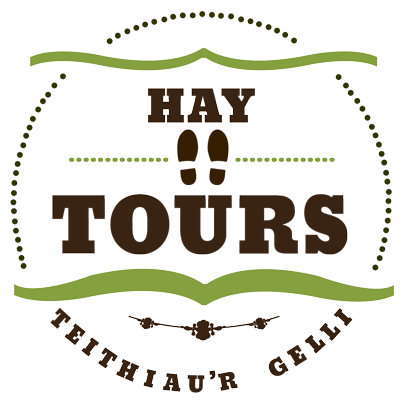 si hay tours