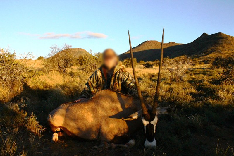  Gemsbok 