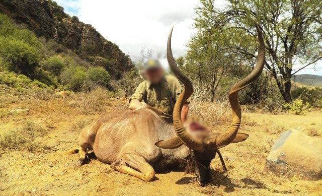 Kudu+Trophy+Hunt+(2).jpg