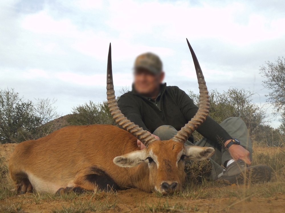 Lechwe.jpg