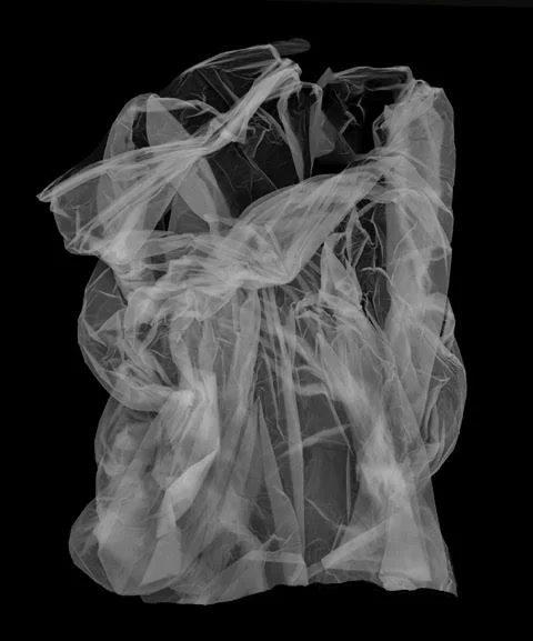 John Grant, Wind in the Forest.jpg