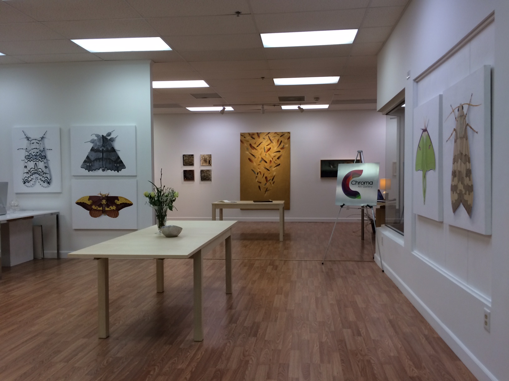 View of PCA and Chroma Galleries.jpg