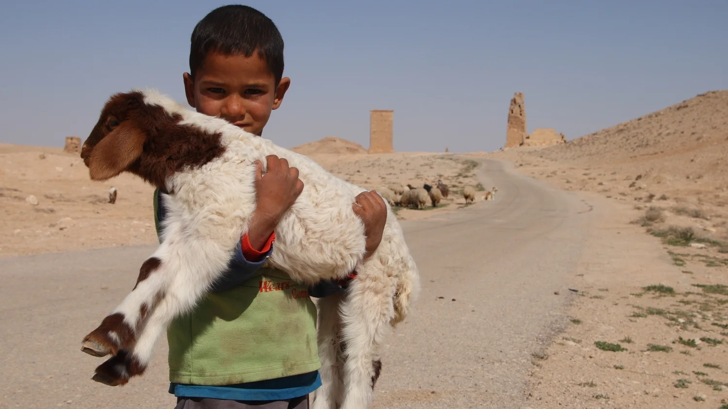 Don T Spare The Rod Recovering The Biblical Perspective On Disciplining Your Children Danny Zacharias