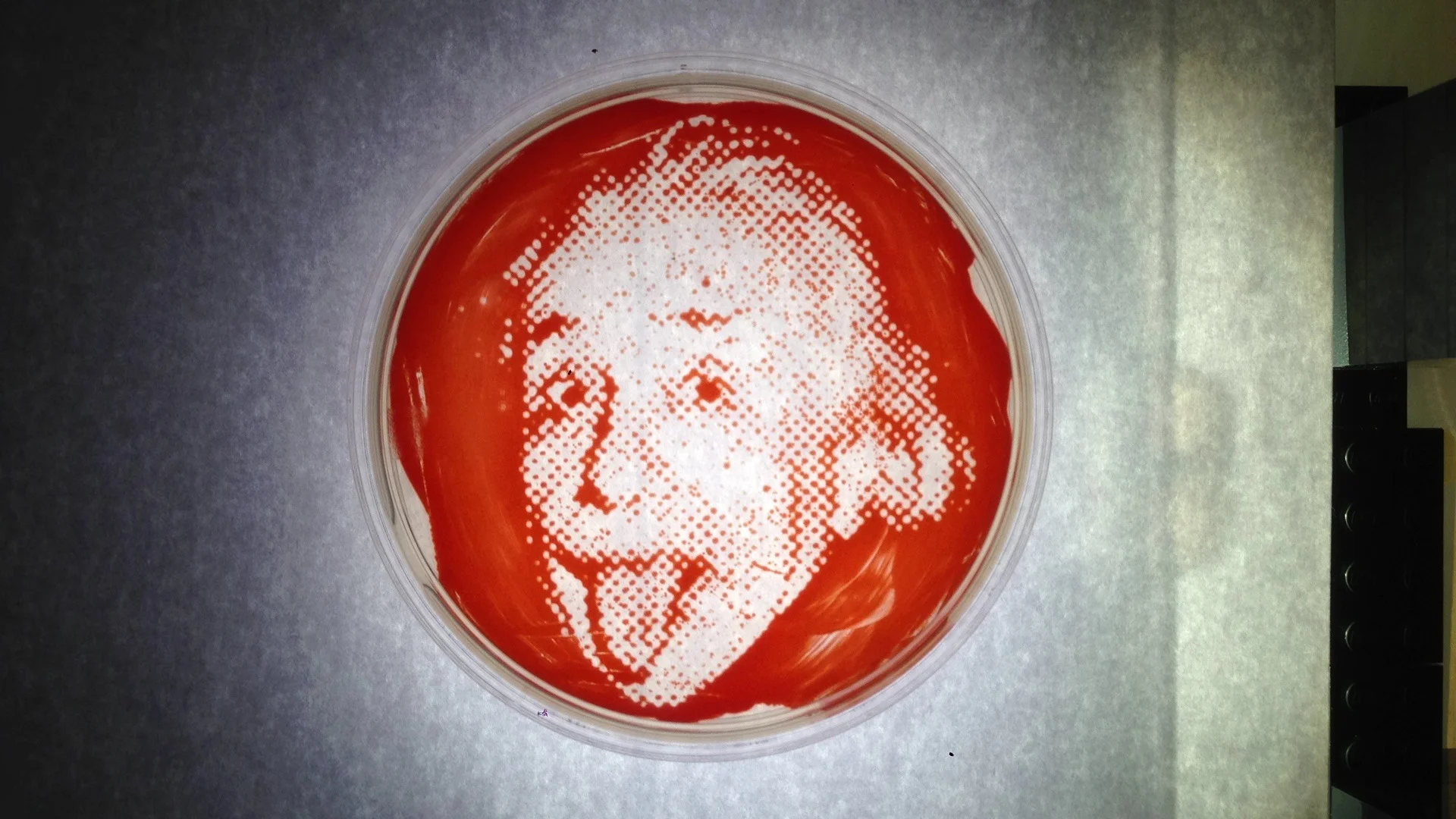 Created with OSnap! Ultimate Time Lapse - Project: Einstein Small 1