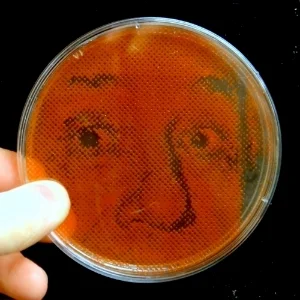 bacteriography.jpg