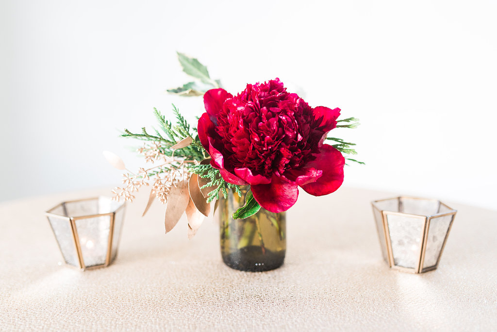 Lauren Jolly Photography
