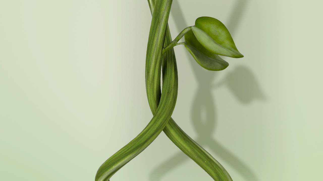 experiments on the LIANA procedural shader