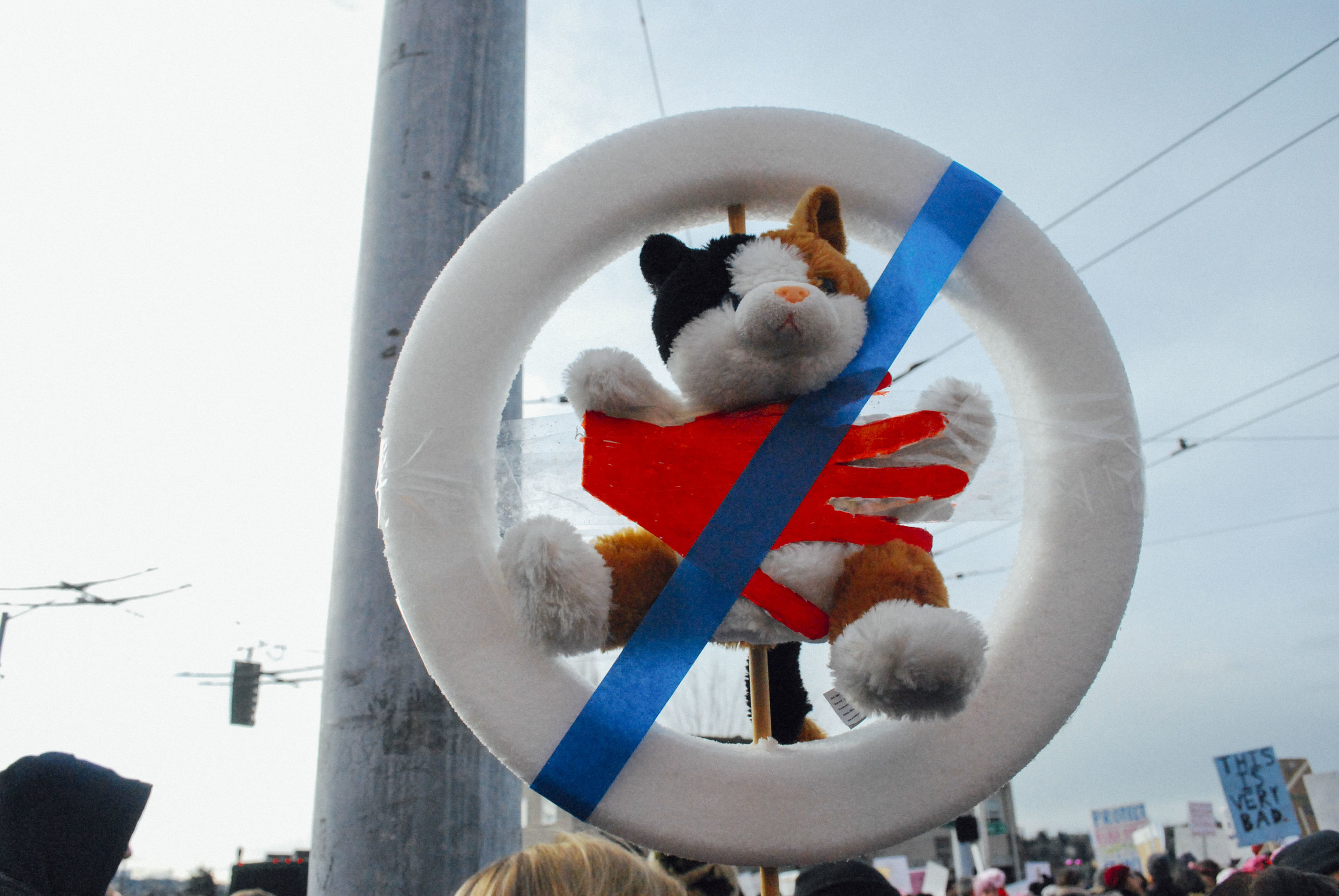 Womens_March_Seattle_Web_12.jpg