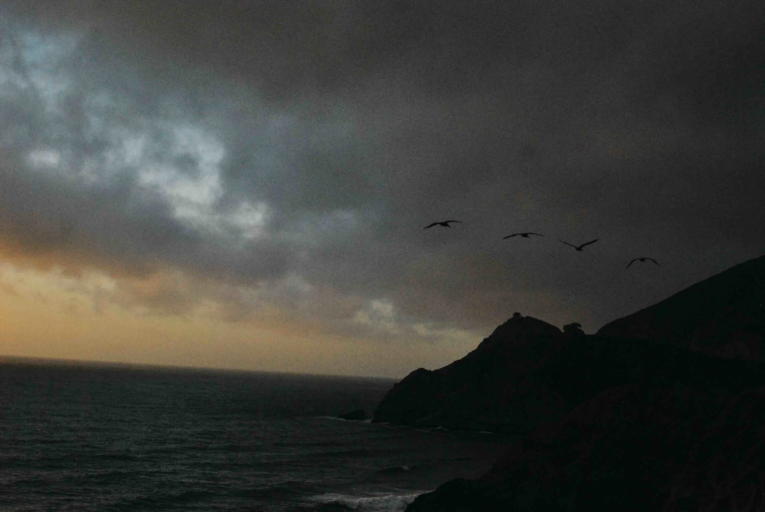 Cali32_SanFran_Sunset_BirdsWeb.jpg