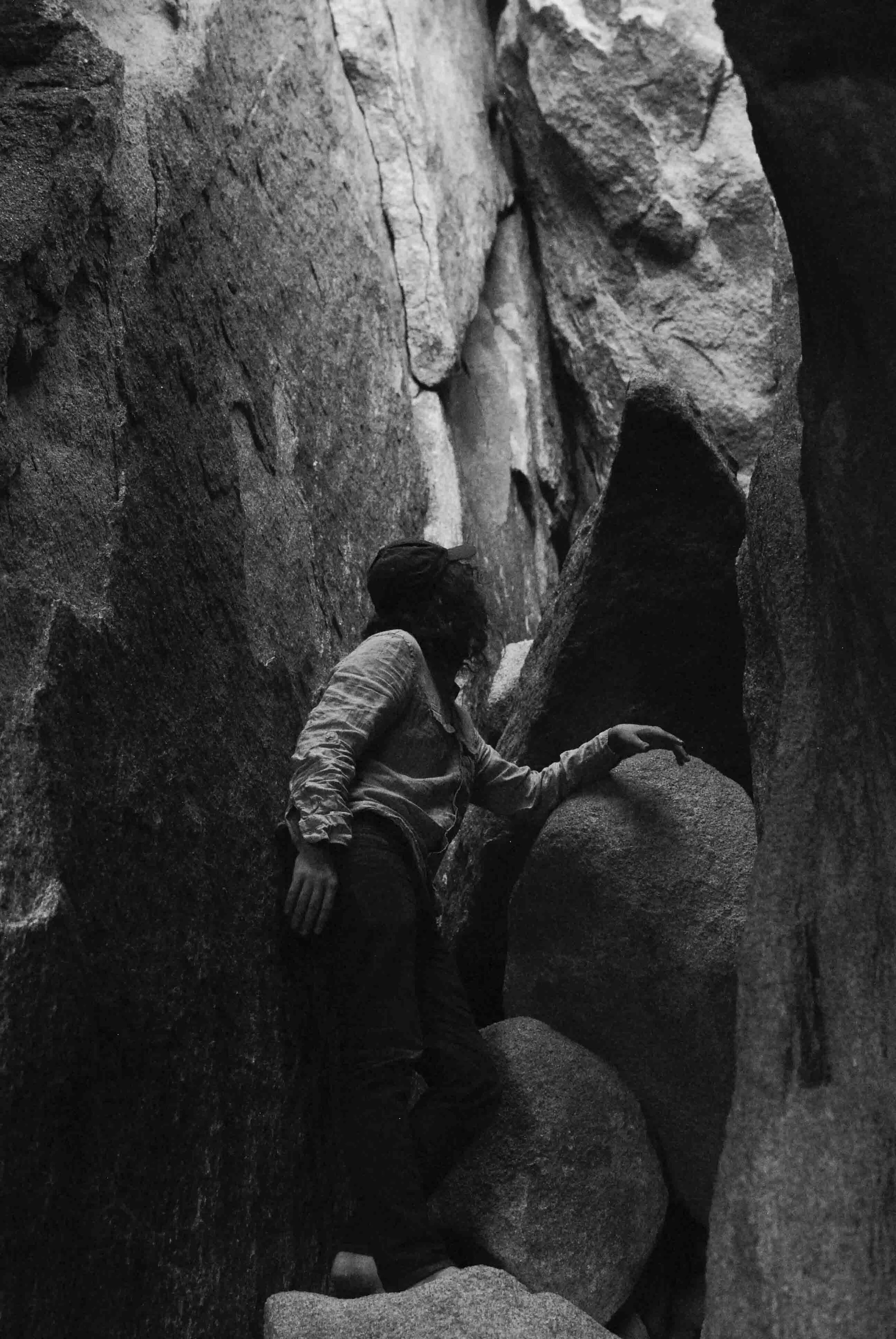 Cali57_Joshua_Tree_FredWeb.jpg