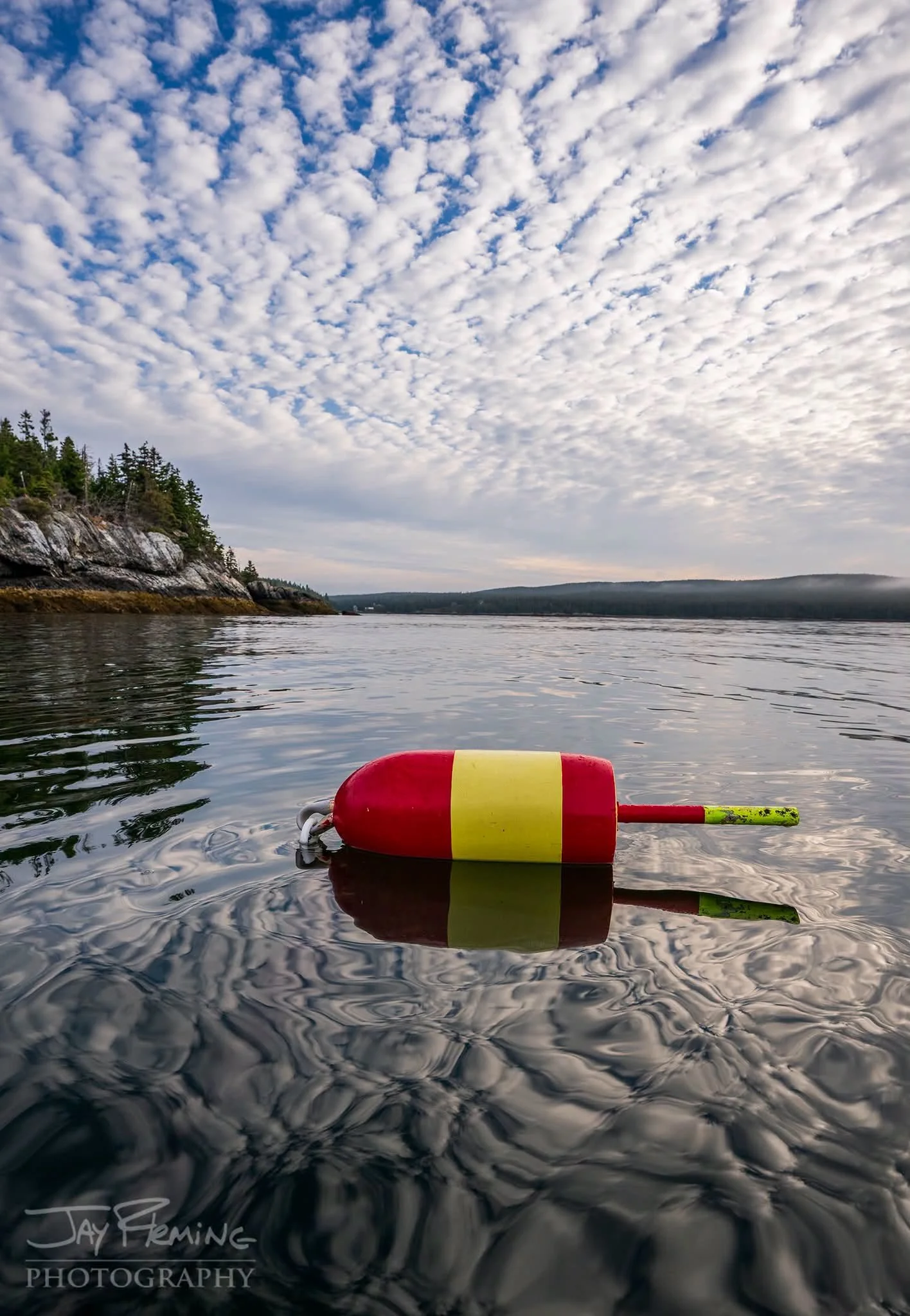 vinalhaven lobster buoy.jpeg