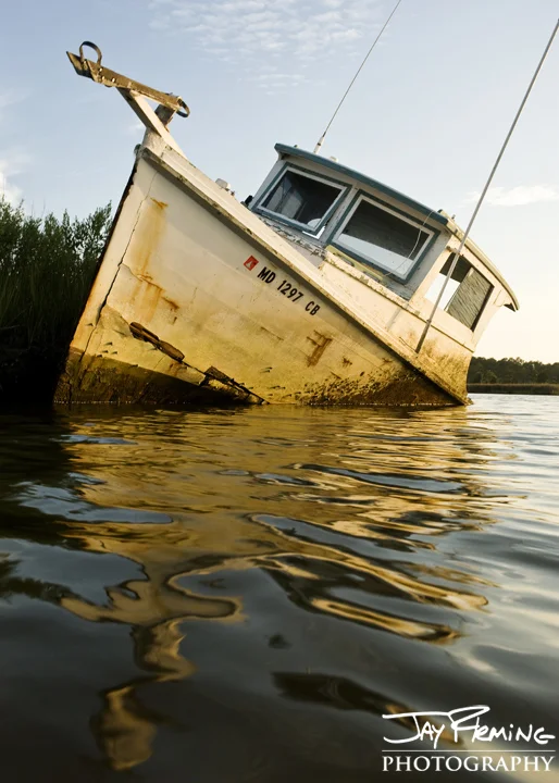 Derelict workboat. Lower Dorchester County, Maryland 