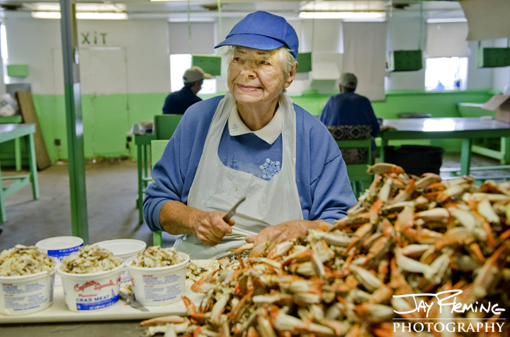 Betty Tall, 81, picking crabs at Dorchester Crab Co. in Wingate, Maryland. October 2014