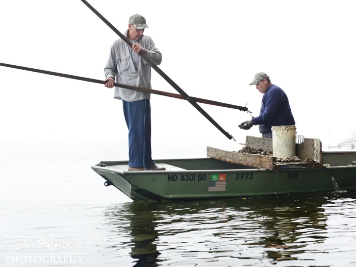 Fall 2014 - Working the Water© Jay Fleming08.jpg