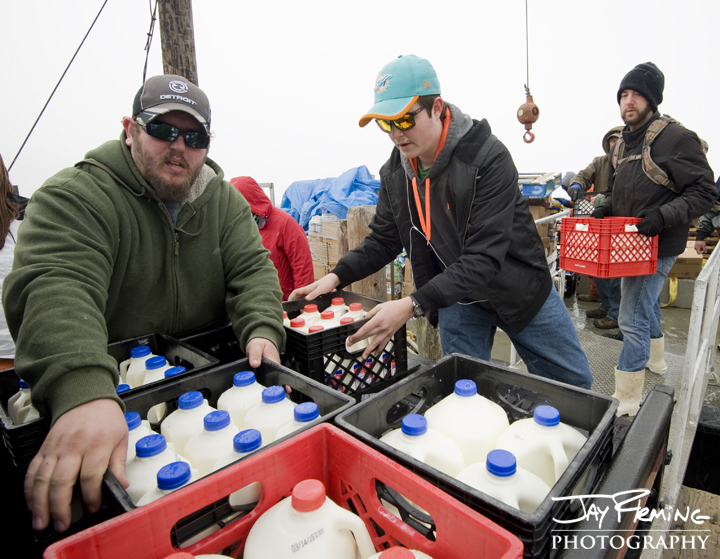Unloading groceries from the 'J. Millard Tawes'. Tangier Island, Virginia