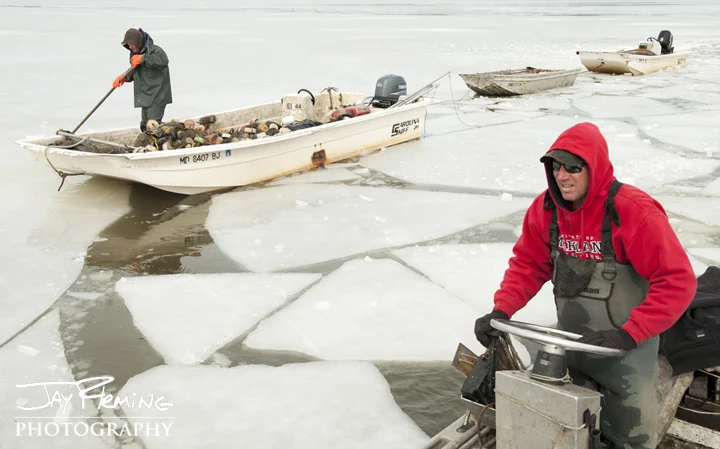 Breaking ice to haul seine. Choptank River, Maryland 