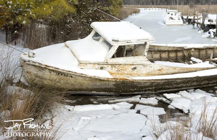 Iced in. Tedious Creek, Maryland 