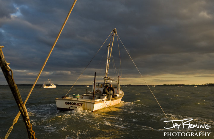 Dredging for oysters. Broad Creek, Maryland 