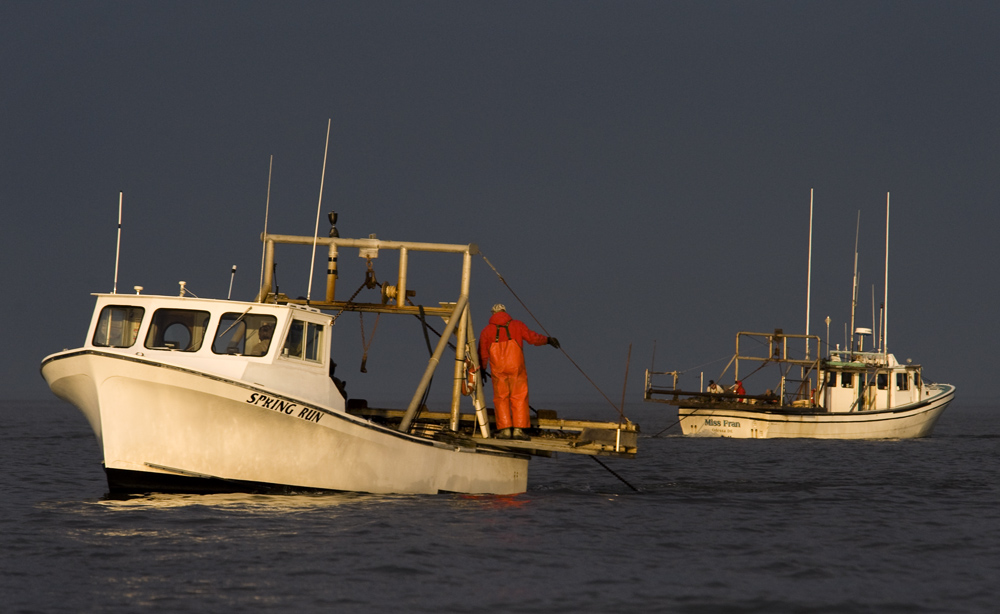 Crab Dredge Boats Delaware Bay Maggie S. Myers © Jay Fleming.jpg