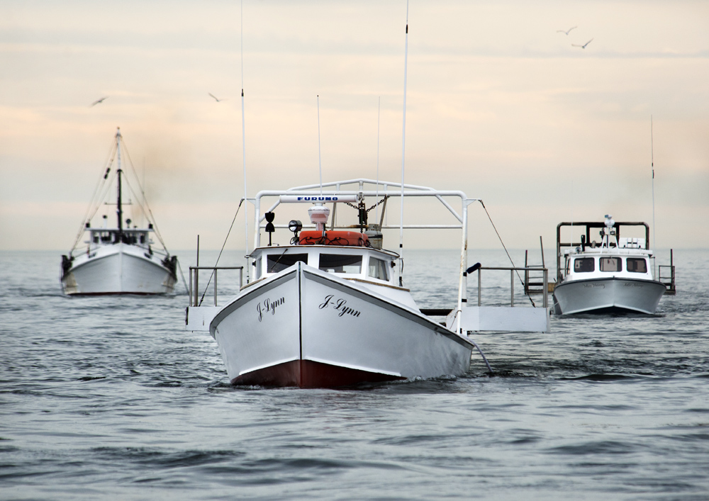 DE Bay Crab Dredge Boats © Jay Fleming.jpg